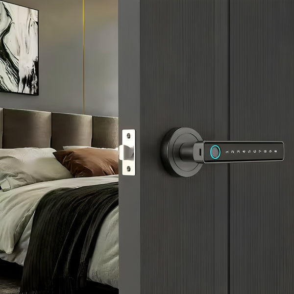 Fingerprint / Password Smart Door Lock